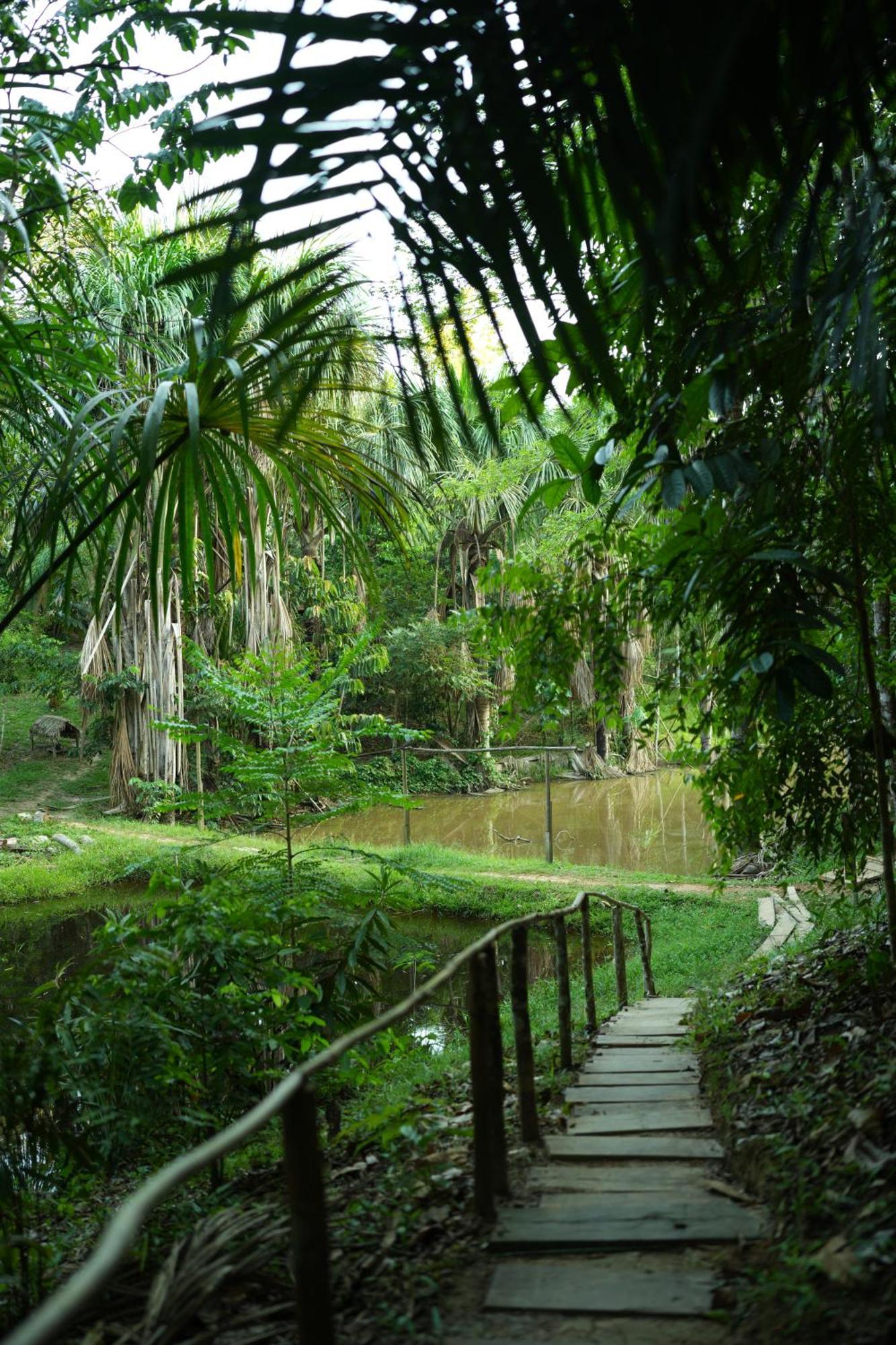 Awaken Amazonian Healing Resort All Inclusive Ικίτος Εξωτερικό φωτογραφία